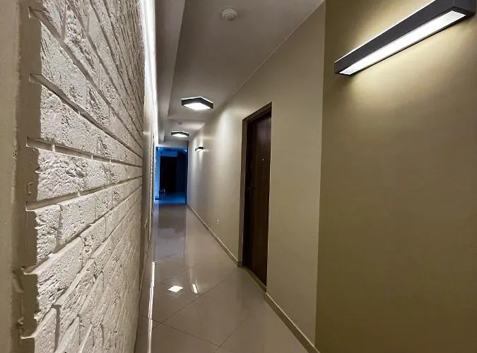 Cien Wiatru دارووفكو